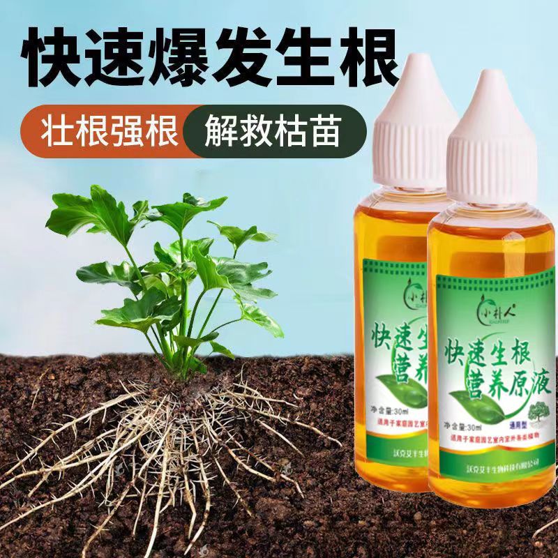 强力快速生根液植物通用型大树多肉移栽扦插生根水壮苗水营养液体 - 图2