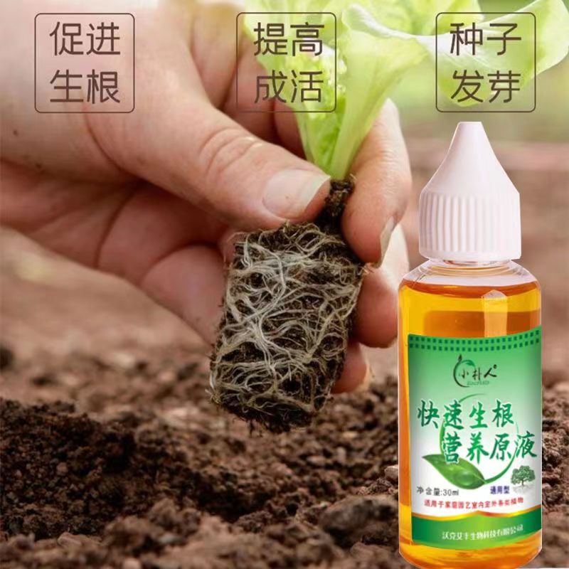 强力快速生根液植物通用型大树多肉移栽扦插生根水壮苗水营养液体 - 图0