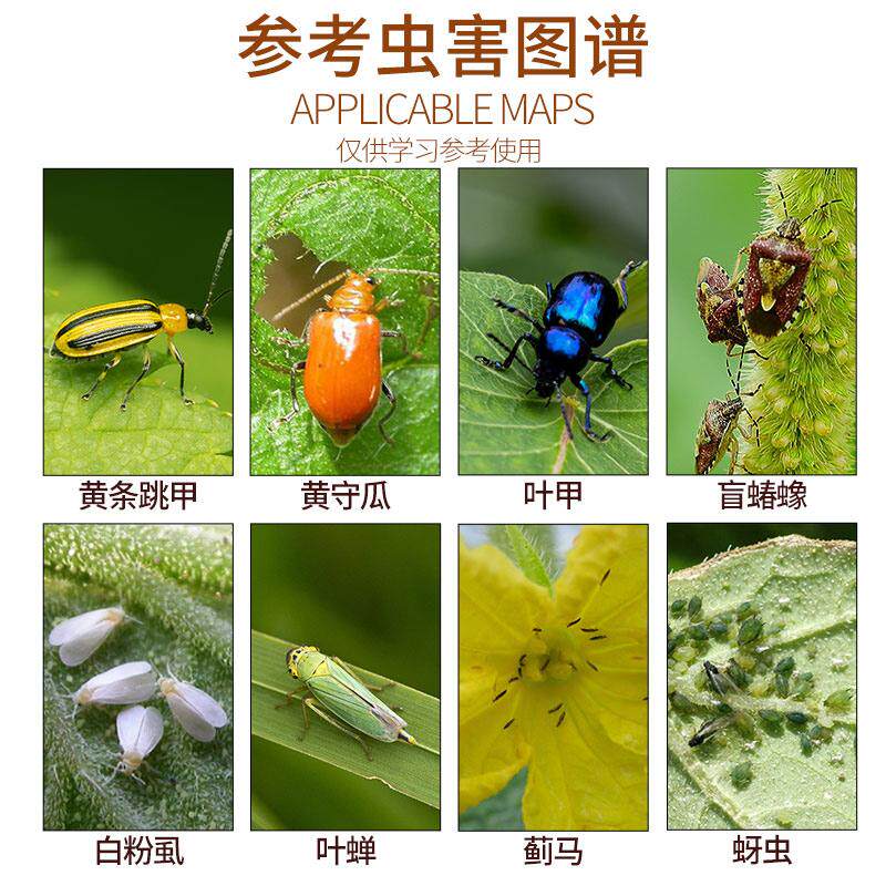 联苯噻虫胺颗粒剂韭蛆蛴螬蝼蛄黑头蛆金针虫跳甲地下虫杀虫剂