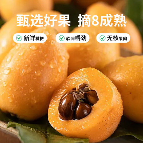 趣梅园云霄竹盐枇杷干无核添加原味果干小零食福建特产琵琶干 - 图1