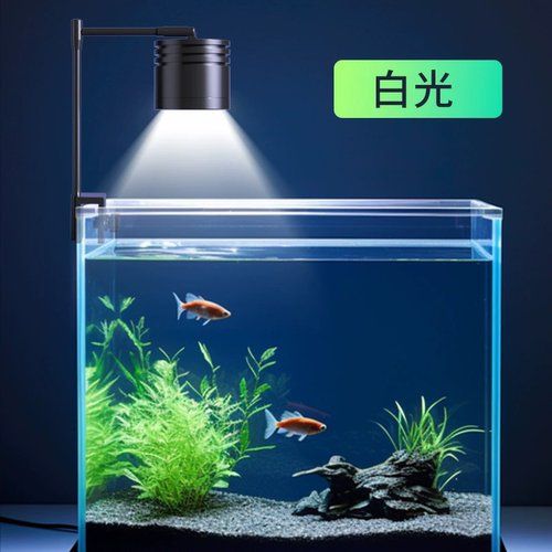 全光谱LED小型鱼缸灯高亮节能促水草生长青苔爆藻灯金鱼溪流造景 - 图3