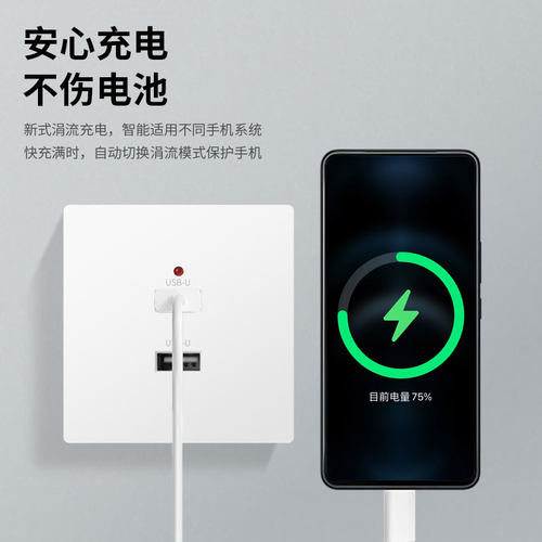 86型明装二孔四孔USB手机充电2个4位220V转5伏工地36VUSB插座面板 - 图3