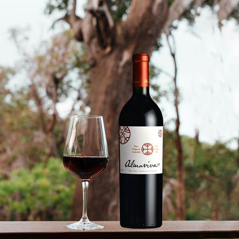 【自营】智利名庄活灵魂酒庄2020干红葡萄酒750ml/瓶 跨境,淘宝优惠券,粉丝福利购,淘宝优惠卷