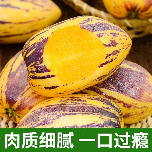 【十个勤天助农】甘肃民勤新鲜人参果树上熟沙漠人生大果应季水果 - 图1