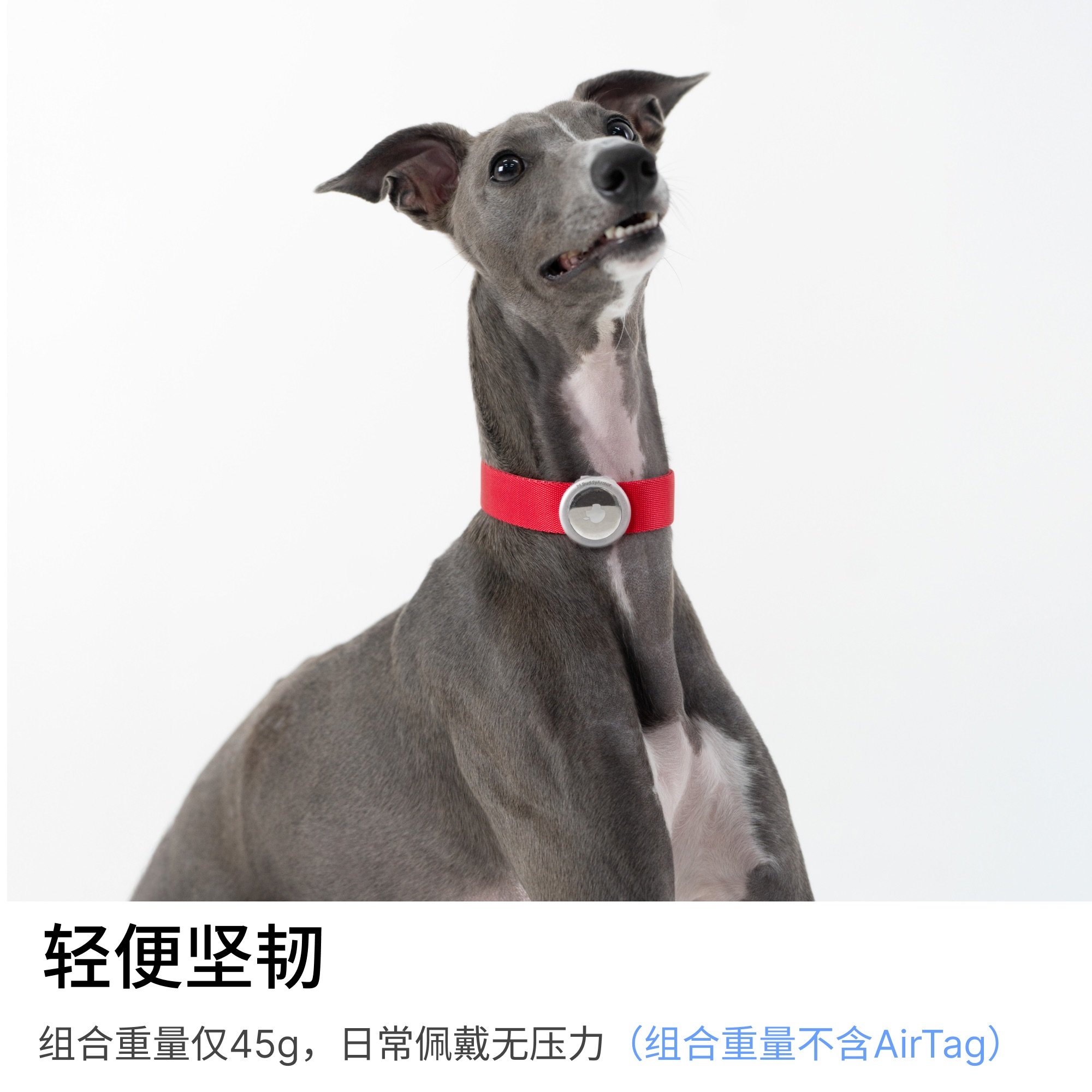 BuddyArmor狗狗项圈AirTag保护套大中型犬脖围颈圈防丢壳,淘宝优惠券,粉丝福利购,淘宝优惠卷