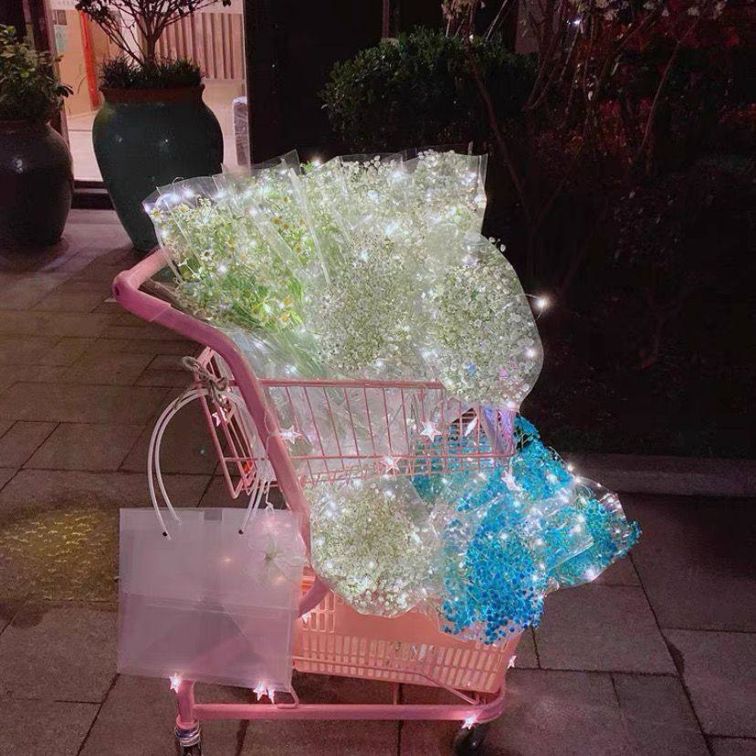 超市双层网红购物车 Ktv 摆摊零食店便利店购物车 网红摆摊购物车,淘宝优惠券,粉丝福利购,淘宝优惠卷