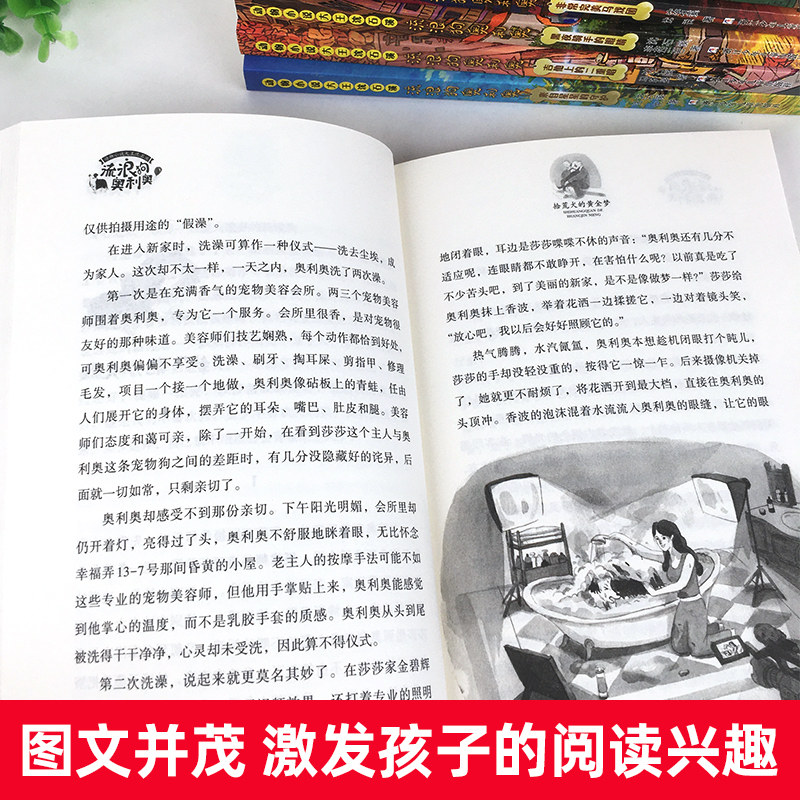 流浪狗奥利奥全套12册 沈石溪动物小说全集新书经典必读新书犬犬之心咖啡屋战车少年大灌篮 小学生三四五六年级课外书儿童文学读物