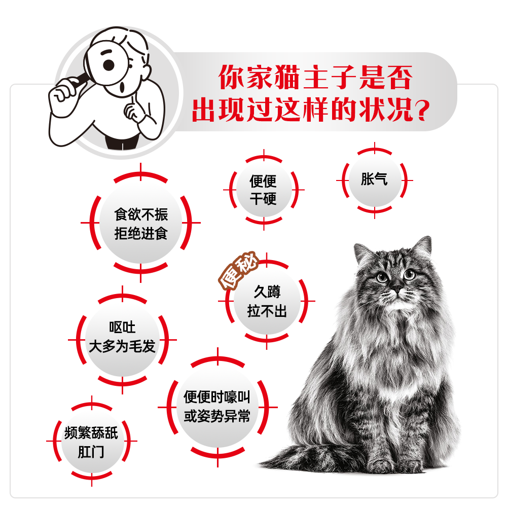【自营】皇家猫粮FR31猫急慢性肠道高优纤易消化处方粮高纤维成猫 - 图0