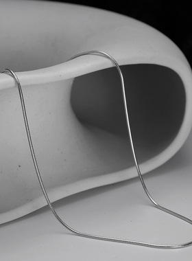 ears韩版高级感项链S925纯银不掉色单链女款个性优雅蛇骨细链饰品