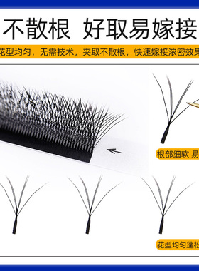 0.05夹心款四叶草加粗浓密不散根