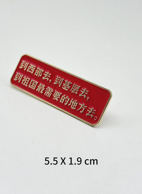 毛主席教员红色语录徽章学生励志胸针除了党考验读一点书丢掉幻想