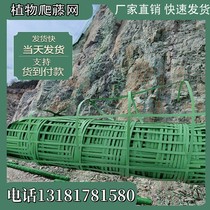 Side Slope Greening Plant Climbing Net Climbing Vine Web Subko Mountain Guard Slope Green Leaf Mesh Protective Steel Plastic Glass Fiber Two-way