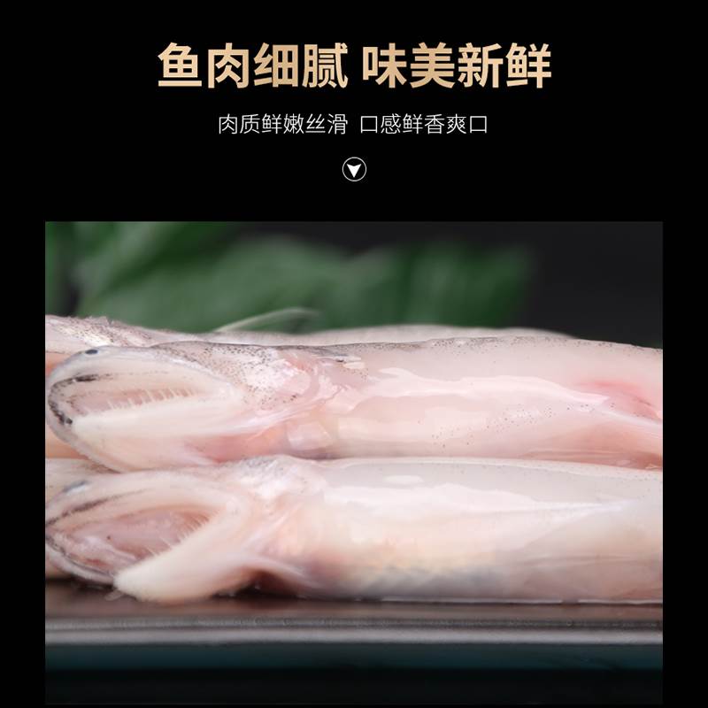 龙头鱼新鲜冷冻豆腐鱼海鲜水潺丝丁鱼舟山水产生鲜辅食九肚鱼3斤-图3