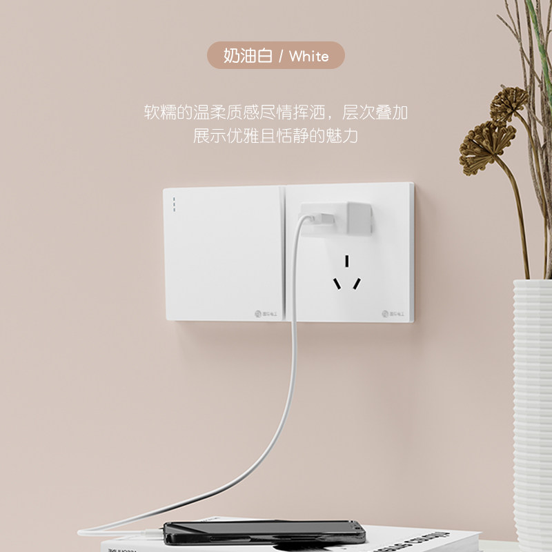  国际电工单控开关