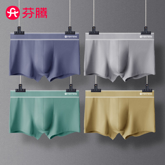 芬腾纯棉内裤男士2025新款青少年运动短裤男款男生抗菌四角平角裤