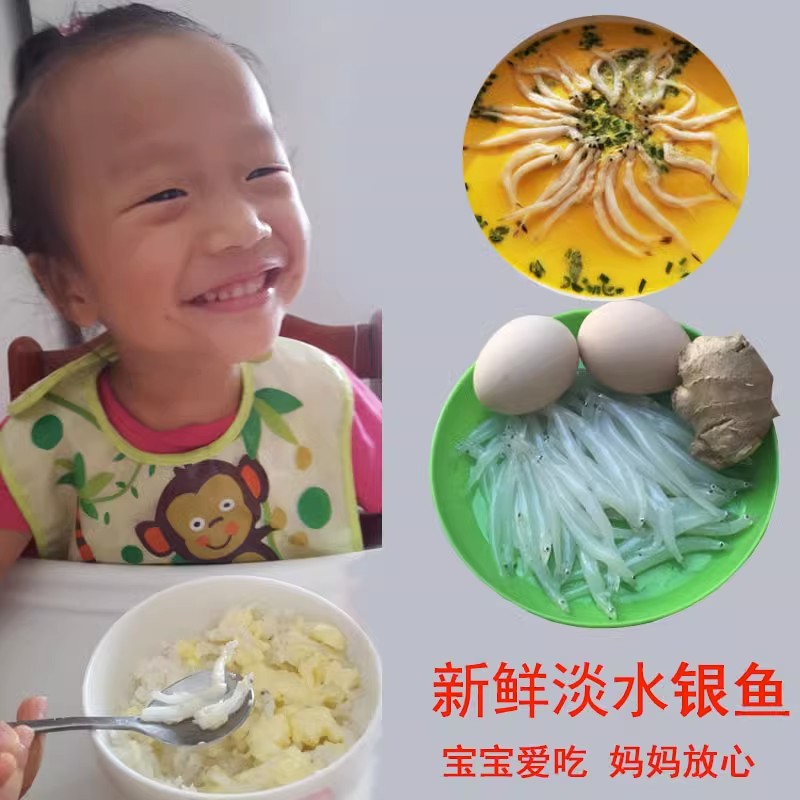 【最太湖】新鲜银鱼三白小银鱼淡水冷冻鲜活宝宝辅食营养苏州特产-图2