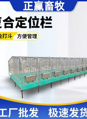 大货直销定位栏养猪场小猪限位栏加厚镀锌管5头10头位母猪定位栏