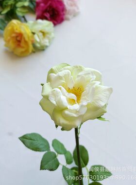 工厂直销保湿仿真花月