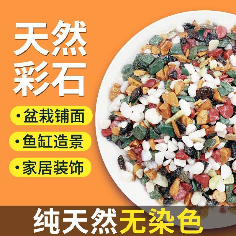 天然五彩石雨花石鱼缸造铺底盆栽水培多肉植物铺面装饰小石头,淘宝优惠券,粉丝福利购,淘宝优惠卷