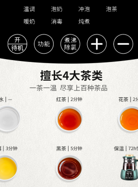 荣事达煮茶器喷淋式家用恒温保温泡茶壶电茶炉烧水养生壶炖煮一体
