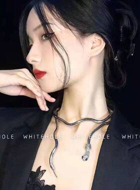 造型蛇形设计感项链项圈