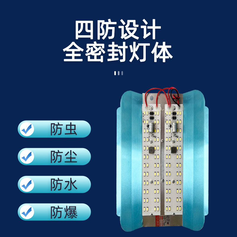 低压12v灯led灯泡36v48v伏摆地摊夜市夹电瓶专用户外电动车碘钨灯-图2