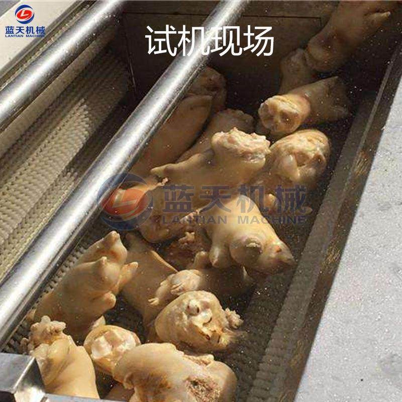 蓝天大姜毛辊去皮清洗机 不锈钢生姜去皮清洗机 黄姜毛刷清洗设备,淘宝优惠券,粉丝福利购,淘宝优惠卷
