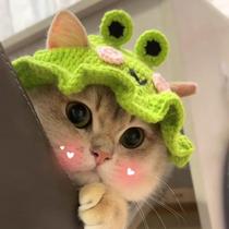 Festival Pets Frog Hats Kitty Headgear Changing Hats Flowers Cute Heads Adorned Pooch Hats New Year Christmas
