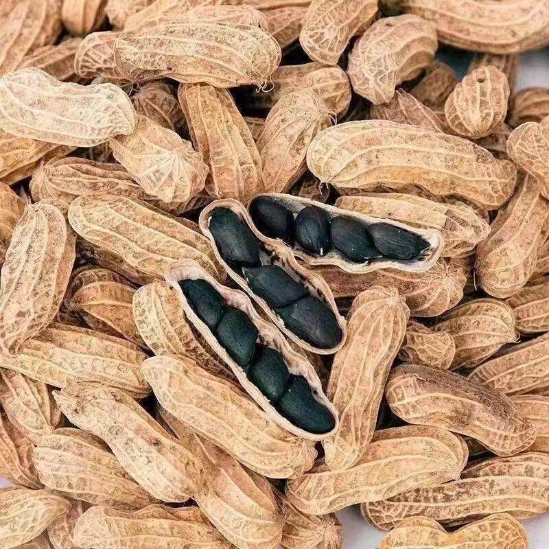 新货云南普洱黑皮花生带壳生的富硒黑花生黑花生特产休闲零食甘甜,淘宝优惠券,粉丝福利购,淘宝优惠卷