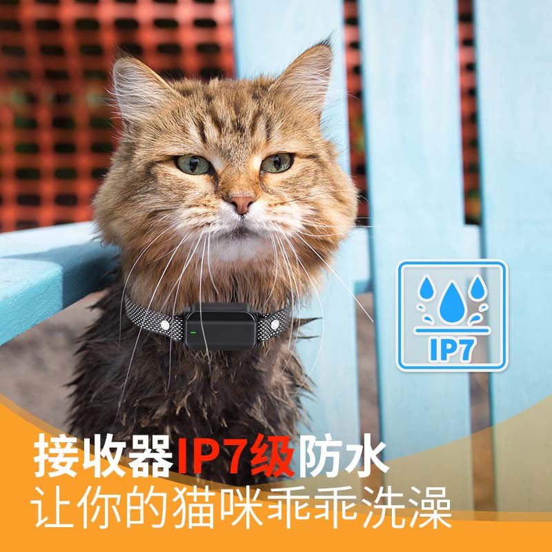 SOSOD防猫叫神器猫咪止叫器遥控电击项圈防扰民宠物猫用止吠器 - 图2