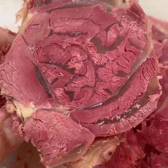 骡马肉熟食真空五香火烧河北特产保定卤正宗即食农家名吃熟真空