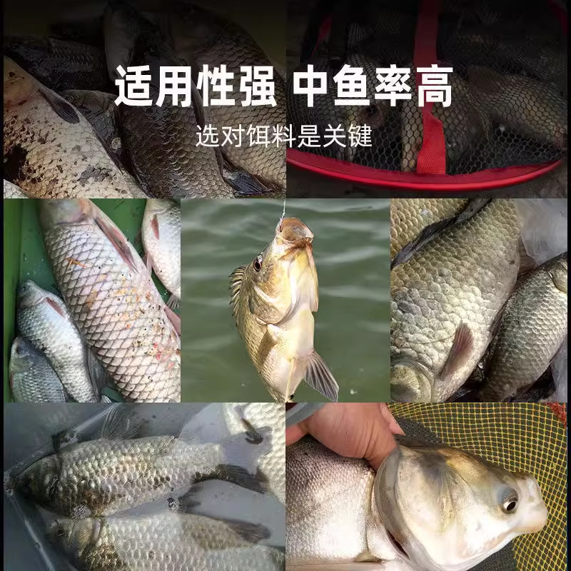 太弘羊油颗粒饵水库池塘免开饵垂钓鲫鲤草黄辣丁罗飞诱钓饵料窝料-图1