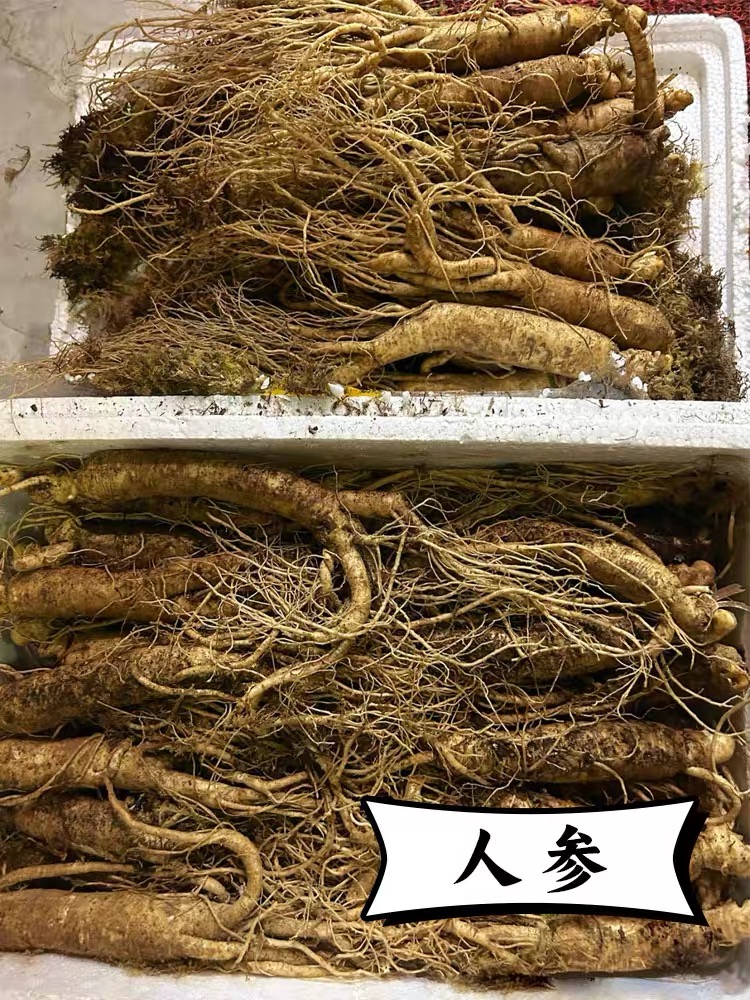 鹿鞭膏男用滋补品鹿茸鹿鞭片男性高纯度人参纯手工熬制正品饮品-图3