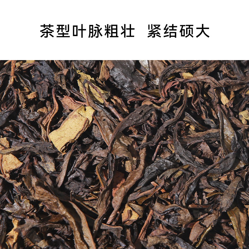 鸭屎香茶叶蜜兰香凤凰单枞奶茶店专用手打柠檬茶乌龙商用原料500g - 图0