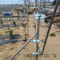 10 price tight wire clamp Grape Steel Wire Tightener Fastener Greenhouse Wire Pull Tightener Macaque Goosebumps Tightener