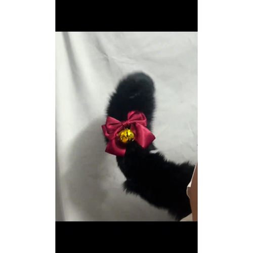 东京猫猫桃宫莓 仿真兽耳蝴蝶结尾巴cos套装兽尾铃铛配饰漫展道具 - 图1