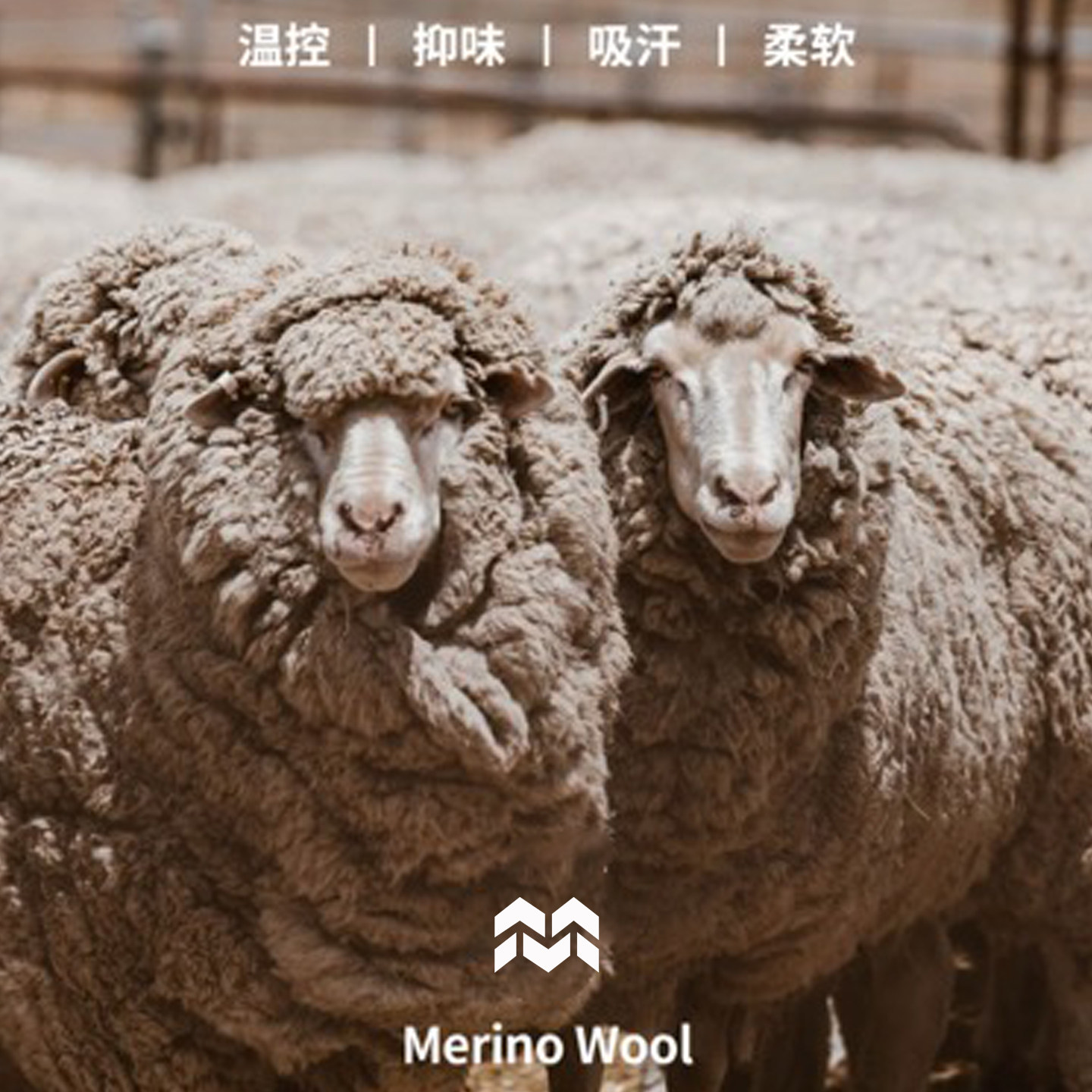 WEYA美丽诺羊毛滑雪护脸V型瘦脸保暖面罩带鼻贴防冻防臭护耳头套,淘宝优惠券,粉丝福利购,淘宝优惠卷