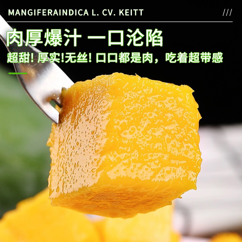 攀枝花凱特芒果9斤新鮮水果當季整箱忙果青皮大芒果特大包郵現貨_果圈水果專營店_水產肉類/新鮮蔬果/熟食