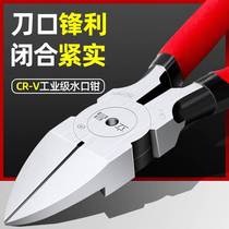 Jewelry processing with gold shop with cut of gold Scissors Pliers Jewelry Store Gold With Tool Gold Tool