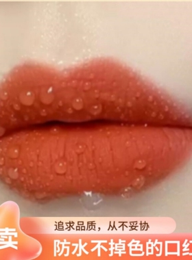 佳琦推荐显白素颜不掉色口红