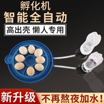 Xinjiang Ludin Small Chicken Incubator Home Version Fully Automatic Smart Small Flying Saucer Incubators Small Egg Pan