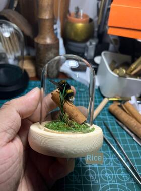 甲虫标本玻璃罩甲虫标本熊蜂标本生态玻璃罐熊蜂标本创意桌面摆件