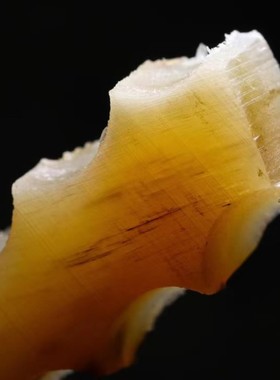 披毛犀非犀碎料珍贵药材泡酒冲水养身降压退烧鱼子纹竹丝纹料田园
