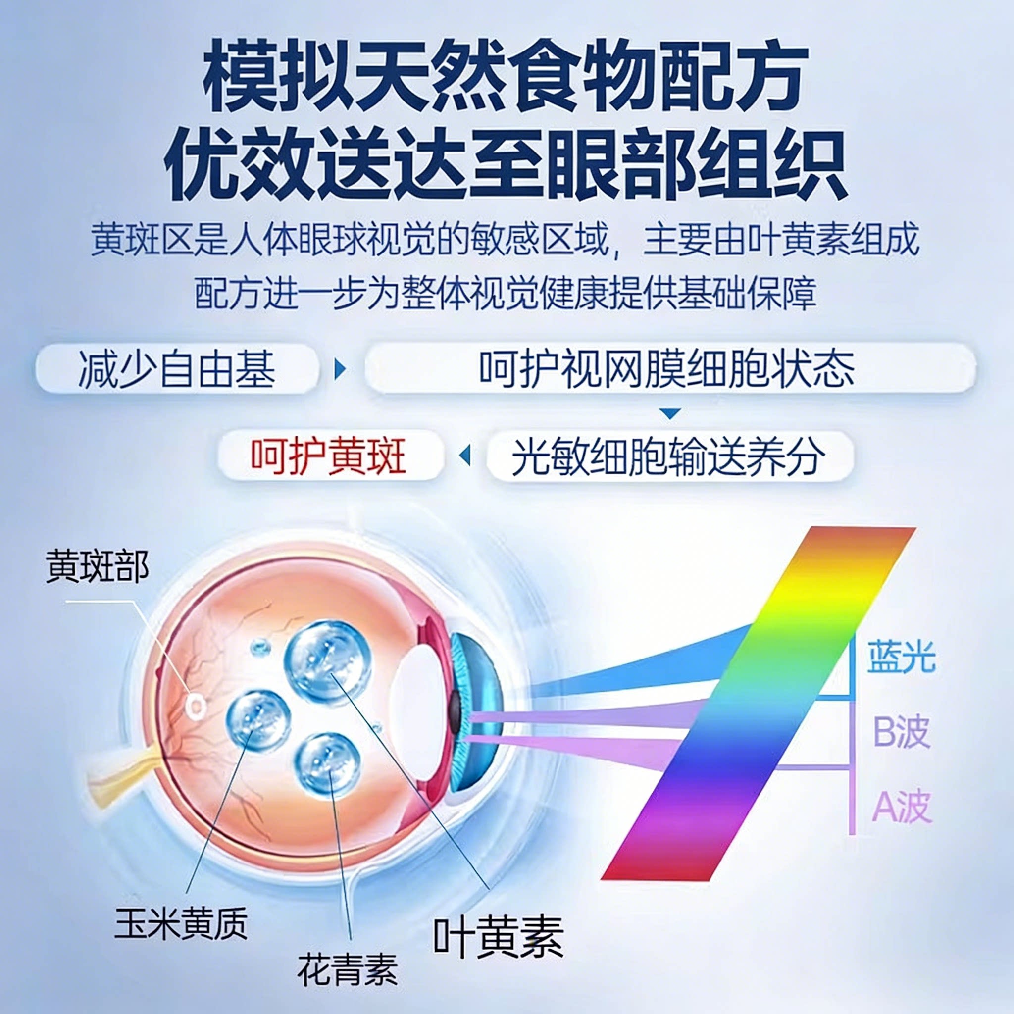 新西兰进口护眼精华越橘叶黄素学生成人胶囊HealthLife海斯康宝