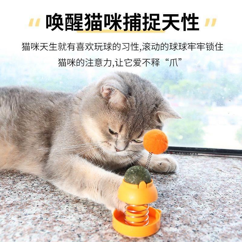 猫薄荷球摇摇乐猫玩具自嗨逗猫舔舔乐宠物用品逗猫棒耐咬小猫幼猫