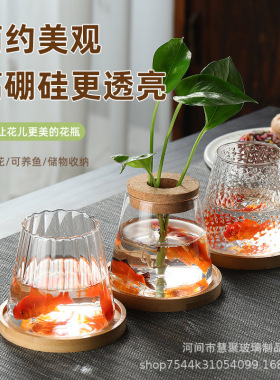水培植物生态瓶水养花盆器皿绿萝
