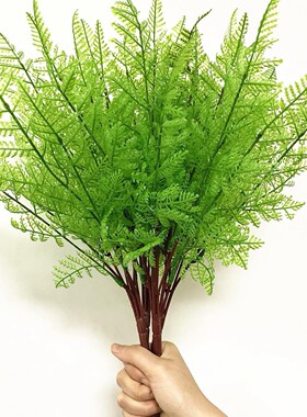 多款仿蕨类绿植物墙配材波斯草散