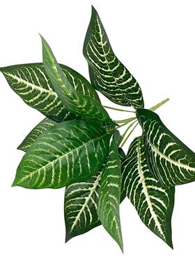 田园仿绿植盆栽插花叶子植物墙门