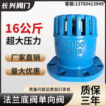 Flange cast iron water pump unidirectional check bottom valve pumping water suction new bottom valve DN40 50 65 80100