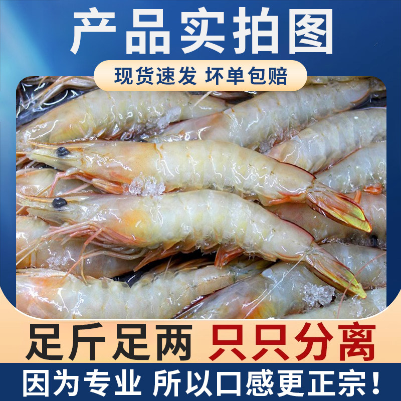 特大明虾海捕白虾活冻虾新鲜海虾海鲜水产对虾白虾超大基围虾顺丰,淘宝优惠券,粉丝福利购,淘宝优惠卷